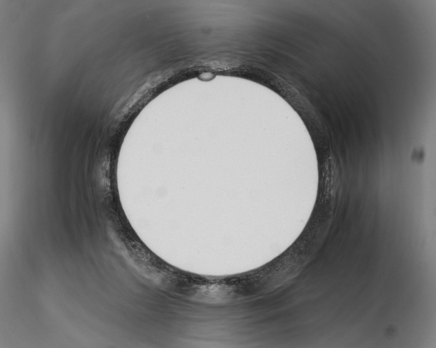 X0000115480212200912181216