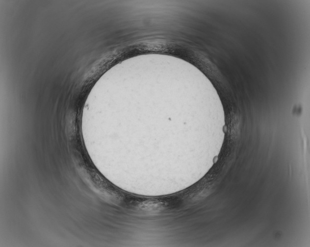 X0000115480213200912181216