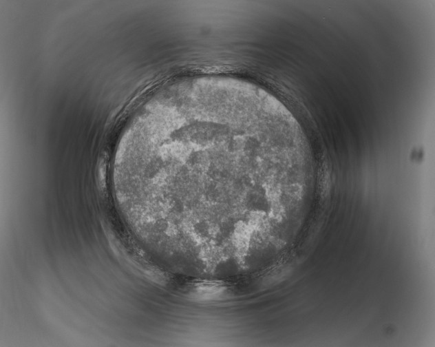 X0000115480214200912181216