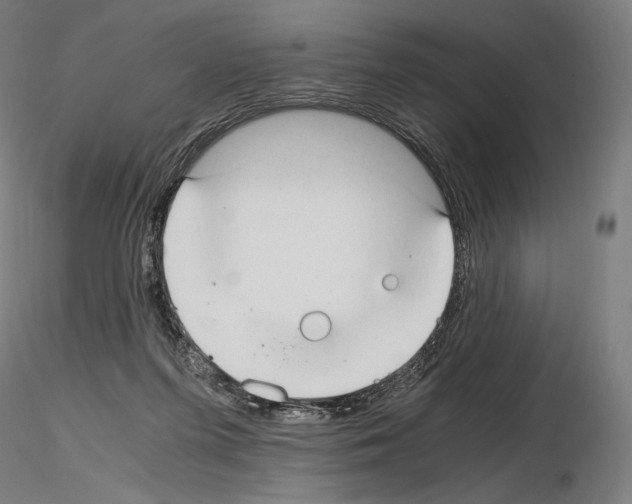 X0000115480215200912181216