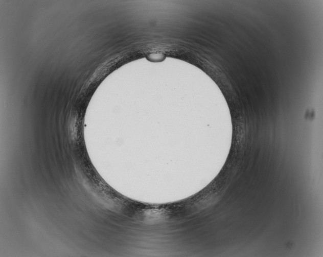 X0000115480216200912181216