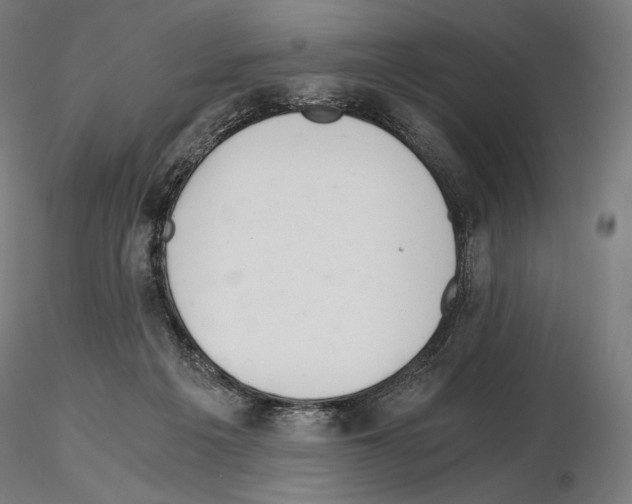 X0000115480217200912181216