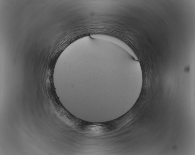 X0000115480219200912181216