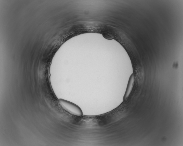X0000115480221200912181216