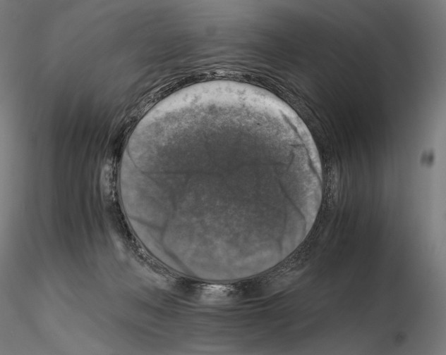 X0000115480222200912181216