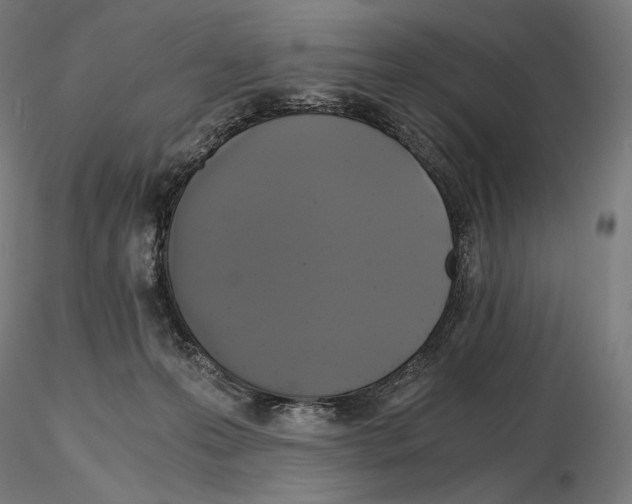 X0000115480223200912181216