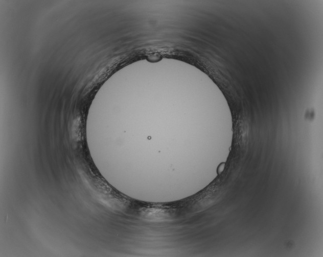X0000115480224200912181216