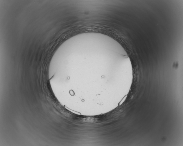 X0000115480225200912181216