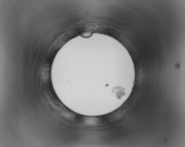 X0000115480226200912181216