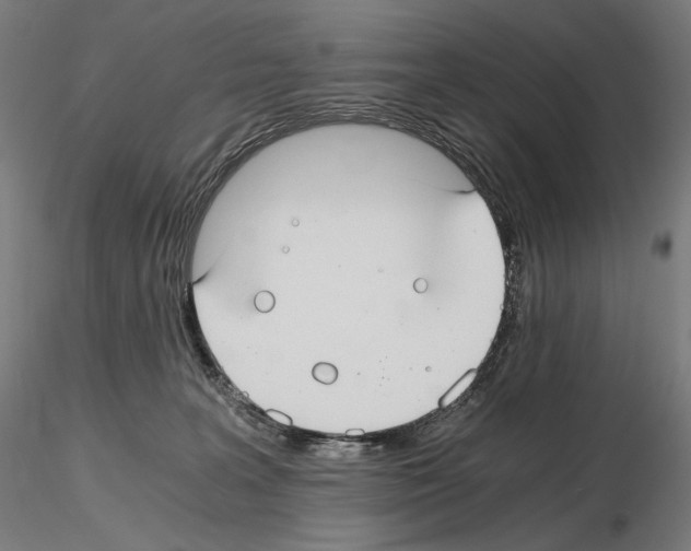 X0000115480227200912181216