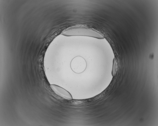 X0000115480229200912181216