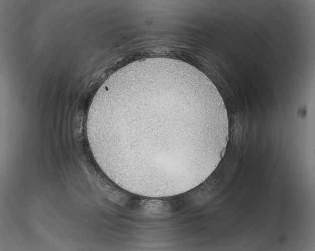 X0000115480230200912181216