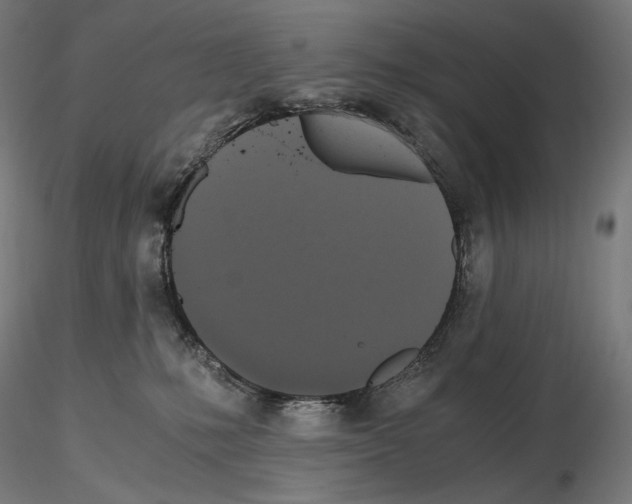 X0000115480231200912181216