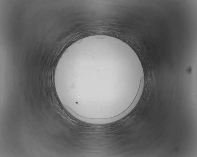 X0000115480233200912181216