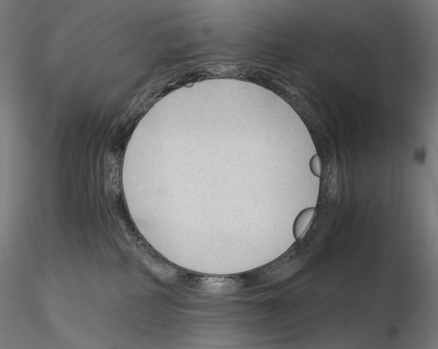 X0000115480234200912181216