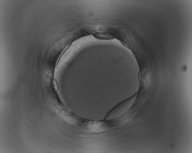 X0000115480235200912181216