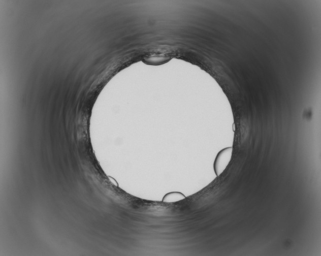 X0000115480236200912181216