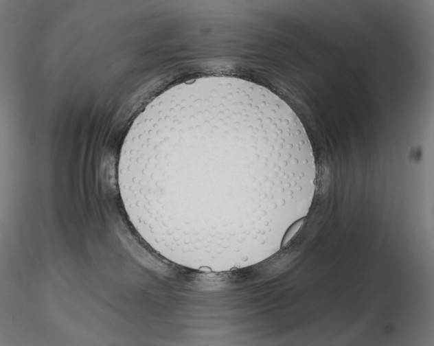 X0000115480238200912181216