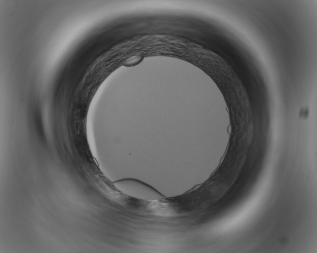 X0000115480239200912181216