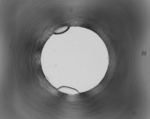X0000115480240200912181216