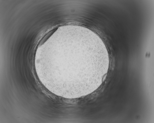 X0000115480241200912181215