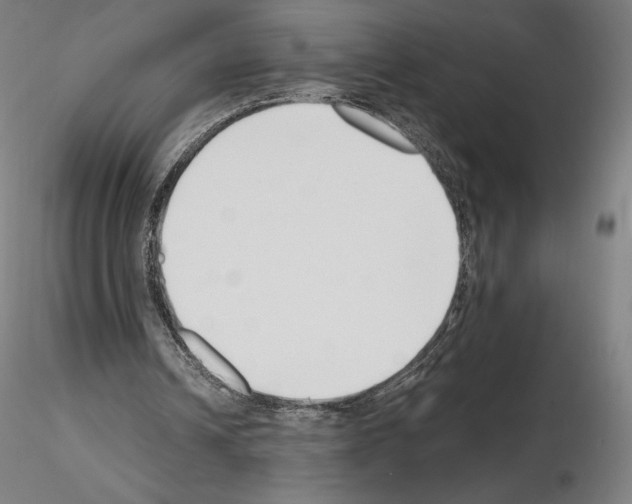 X0000115480242200912181215