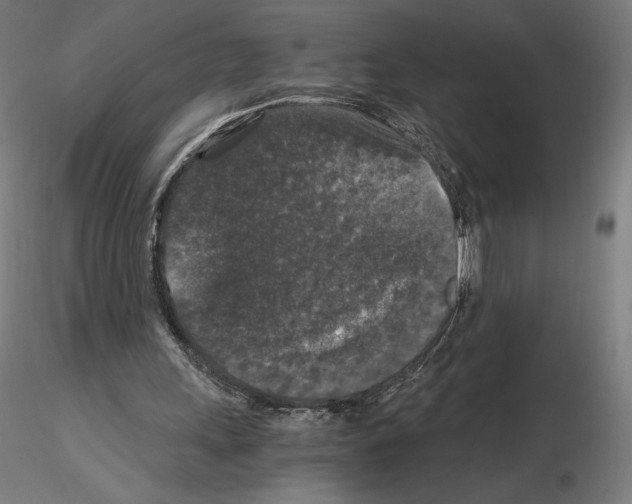 X0000115480243200912181215