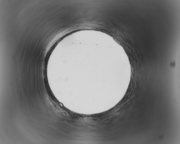X0000115480244200912181215