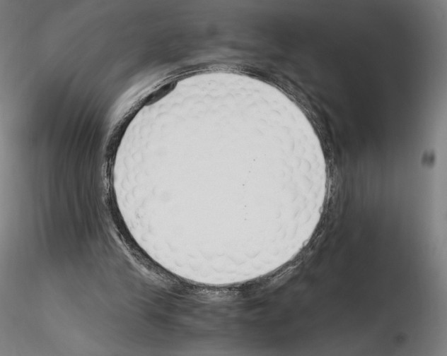 X0000115480245200912181215