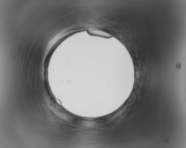 X0000115480246200912181215