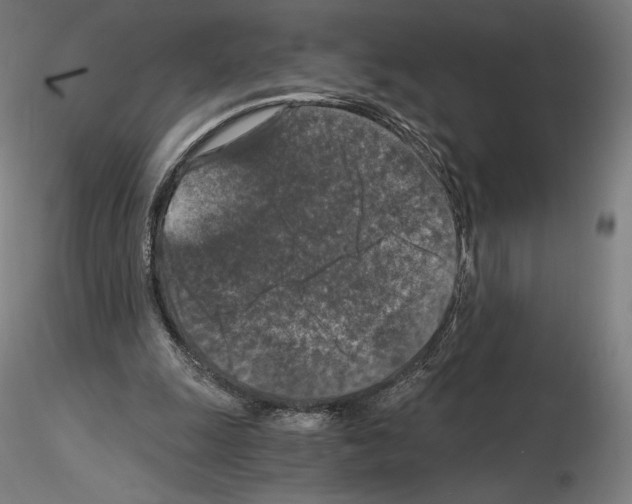 X0000115480247200912181215