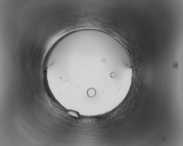 X0000115480248200912181215