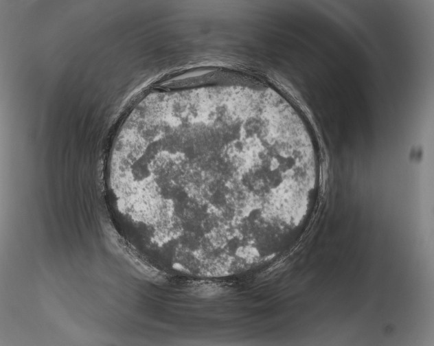 X0000115480249200912181215