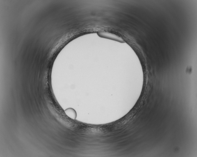 X0000115480250200912181215