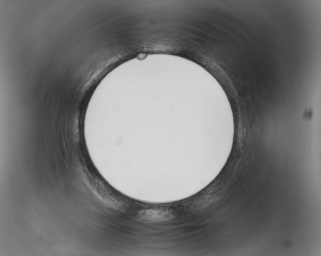 X0000115480251200912181215