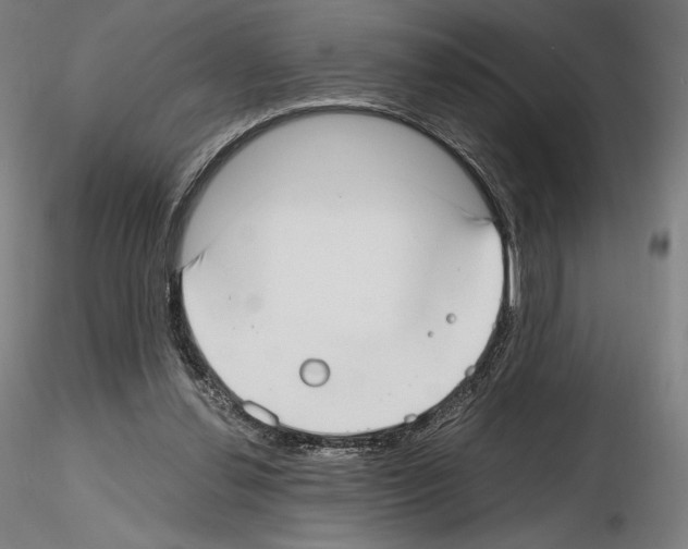 X0000115480252200912181215