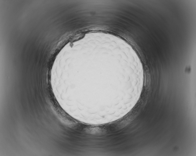 X0000115480253200912181215