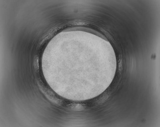 X0000115480254200912181215