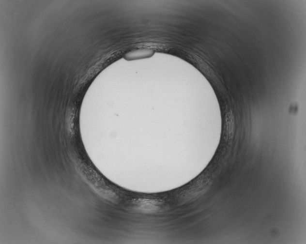 X0000115480255200912181215