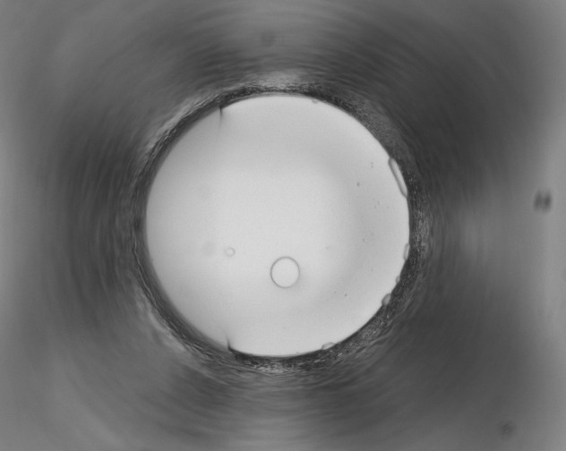 X0000115480256200912181215