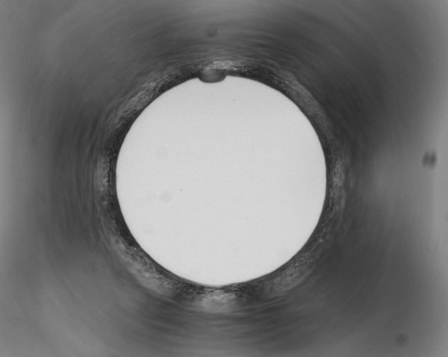 X0000115480257200912181215
