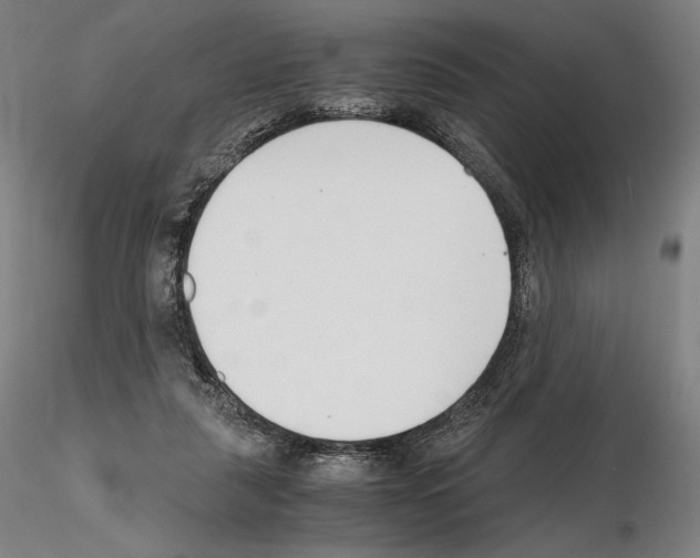X0000115480259200912181215
