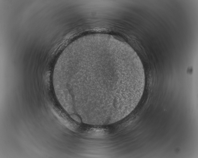 X0000115480260200912181215