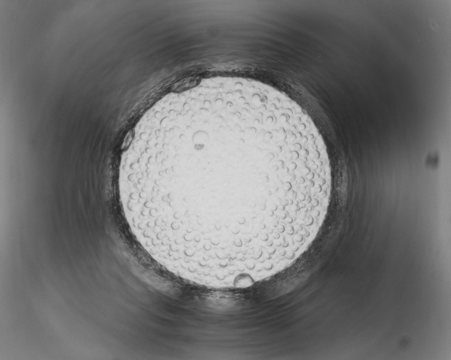 X0000115480261200912181215