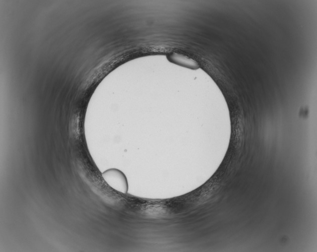 X0000115480262200912181215