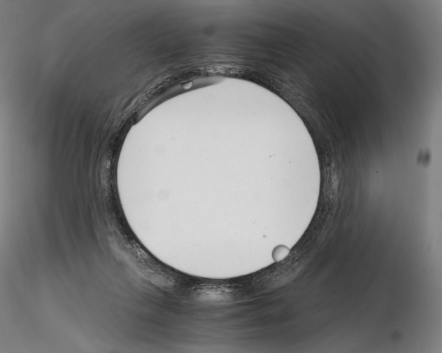 X0000115480263200912181215