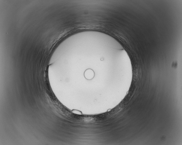 X0000115480264200912181215