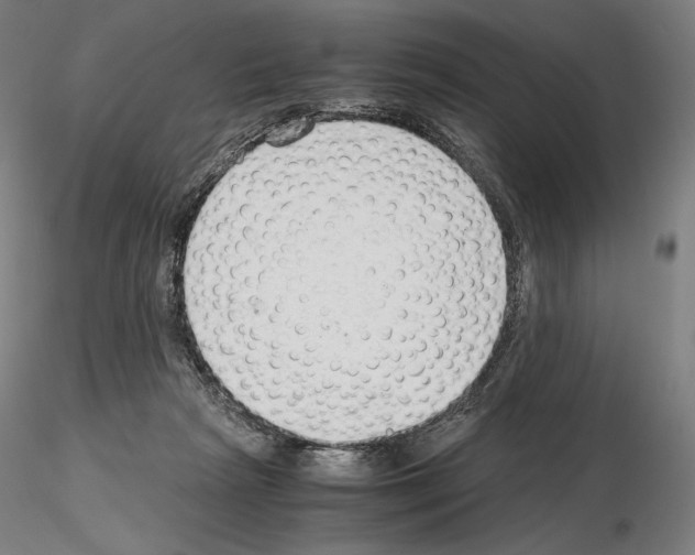 X0000115480265200912181215