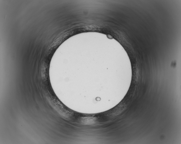 X0000115480266200912181215