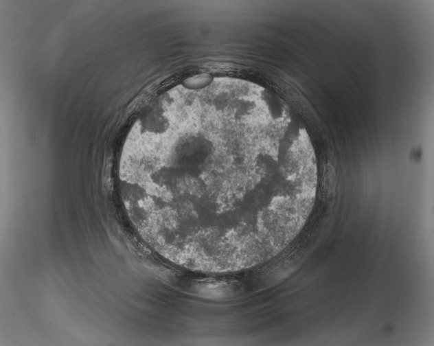 X0000115480267200912181215